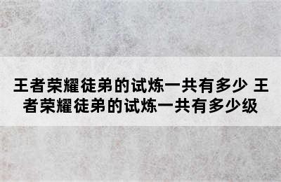 王者荣耀徒弟的试炼一共有多少 王者荣耀徒弟的试炼一共有多少级